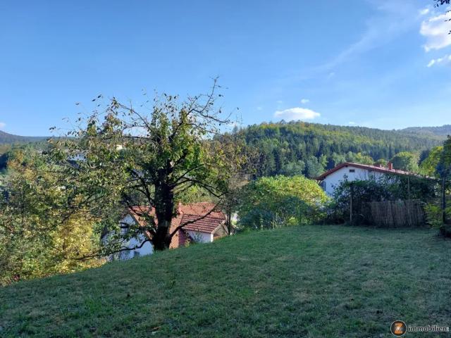 Haus kaufen in Lockenhaus, Burgenland
