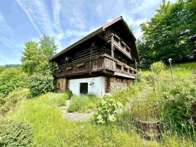 Haus kaufen in Griffen, Kärnten
