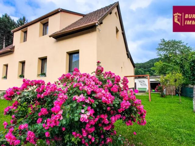 Haus kaufen in Grimmenstein, Niederösterreich