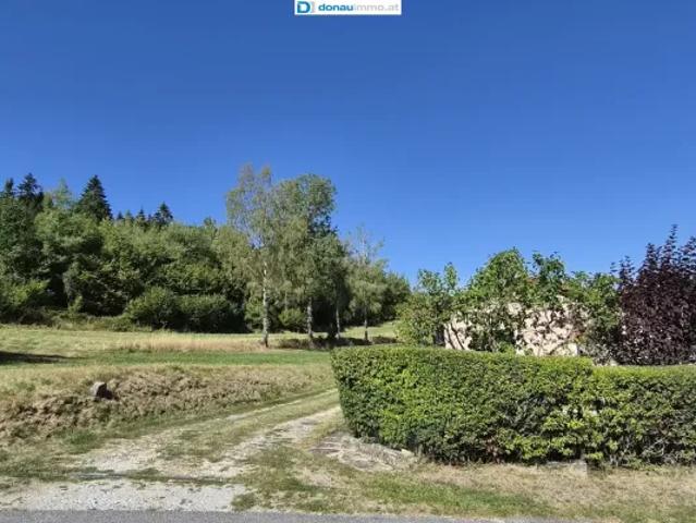 Haus kaufen in Großschönau, Niederösterreich