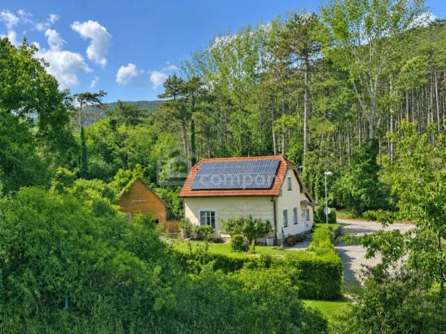 Haus kaufen in Guntersdorf, Niederösterreich