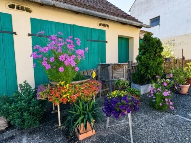 Haus kaufen in Katastralgemeinde Hardegg, Hardegg