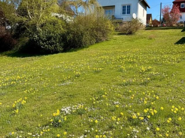 Haus kaufen in Heidenreichstein, Niederösterreich