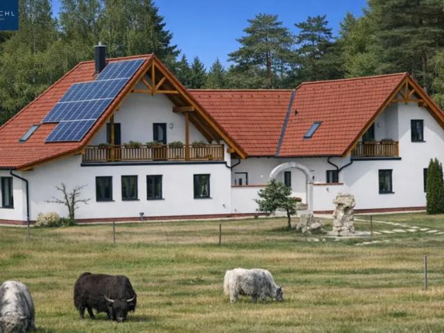 Haus kaufen in Katastralgemeinde Heidenreichstein, Heidenreichstein
