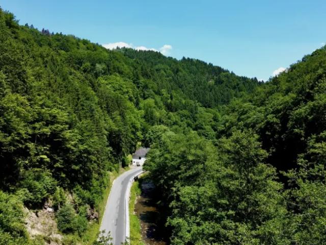 Haus kaufen in Hofamt Priel, Niederösterreich