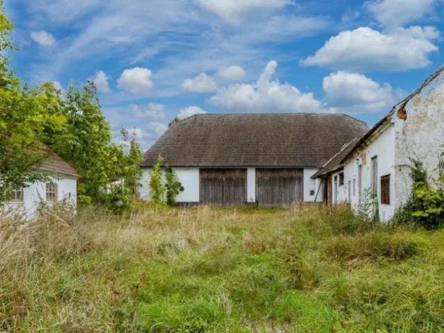 Haus kaufen in Horn, Niederösterreich