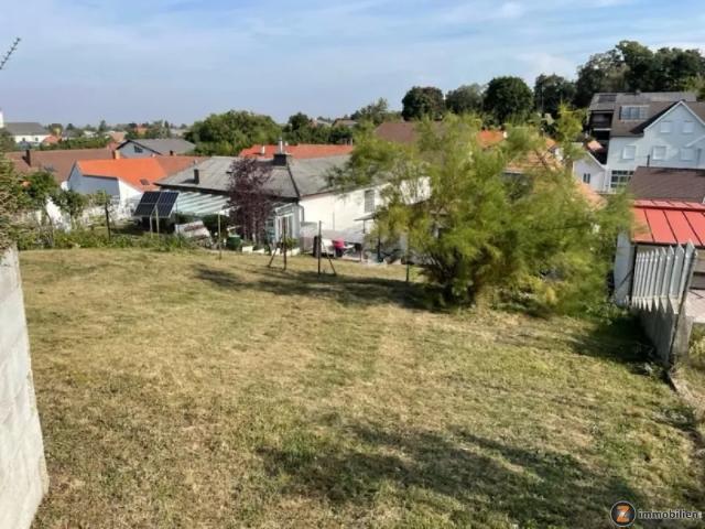 Haus kaufen in Hornstein, Burgenland
