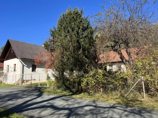 Haus kaufen in Pitten, Niederösterreich
