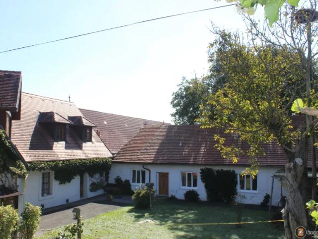 Haus kaufen in Bad Tatzmannsdorf, Burgenland