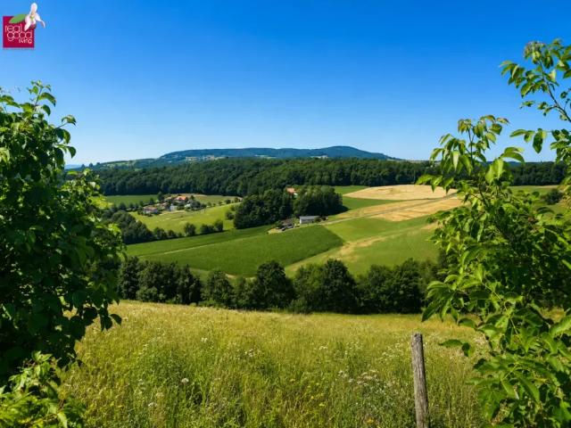 Haus kaufen in Kapfenstein, Steiermark