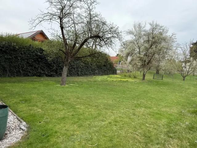 Haus kaufen in Bernhardsthal, Niederösterreich