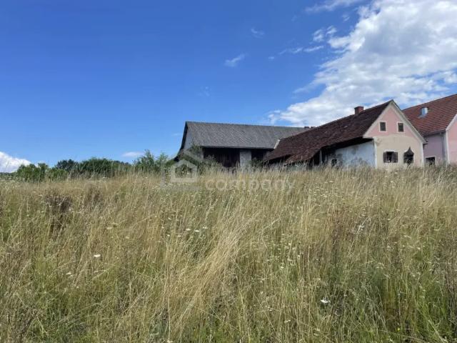 Haus kaufen in Kirchberg an der Raab, Steiermark