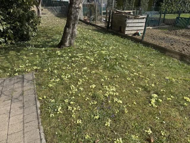 Haus kaufen in Pichling bei Köflach, Köflach