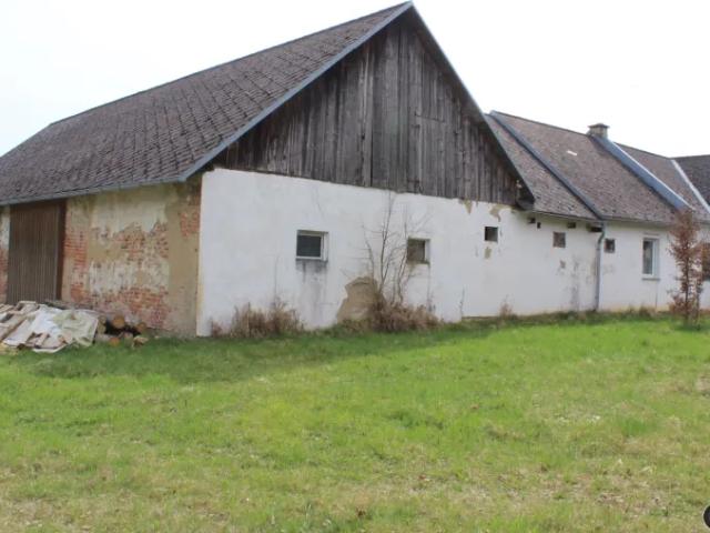 Haus kaufen in Burgenland