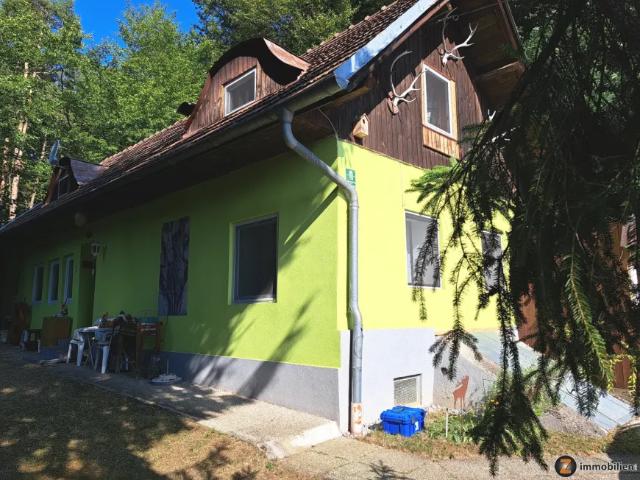 Haus kaufen in Lockenhaus, Burgenland