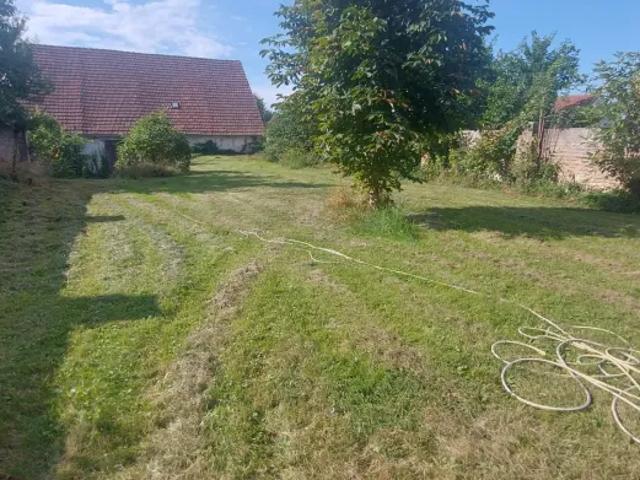 Haus kaufen in Langenlois, Niederösterreich