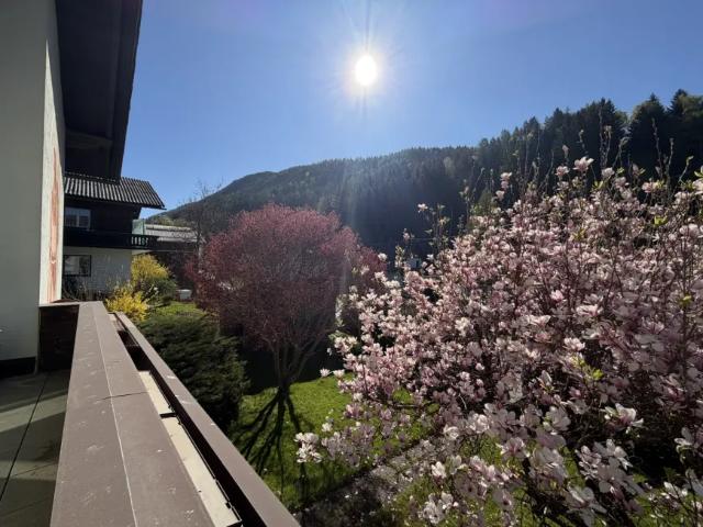 Haus kaufen in Liezen, Steiermark