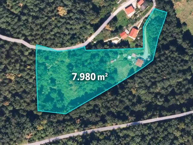 Haus kaufen in Ligist, Bezirk Voitsberg