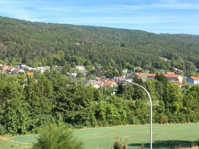 Haus kaufen in Markt Piesting, Niederösterreich