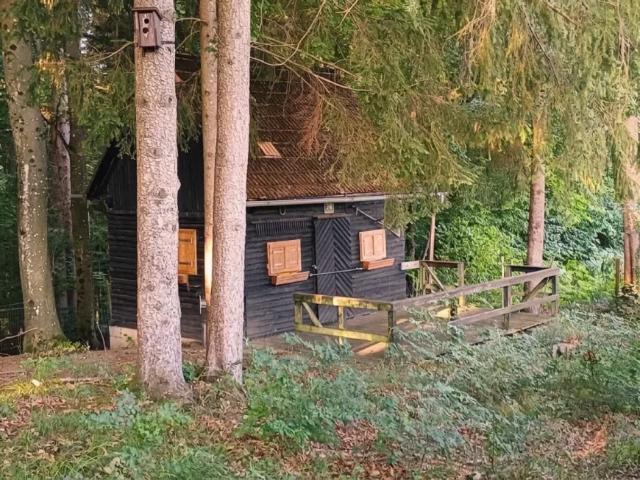 Haus kaufen in Edelsgrub, Steiermark