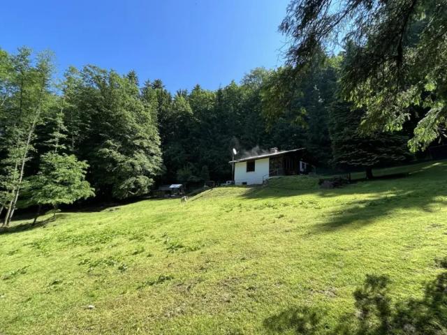 Haus kaufen in Edelsgrub, Steiermark