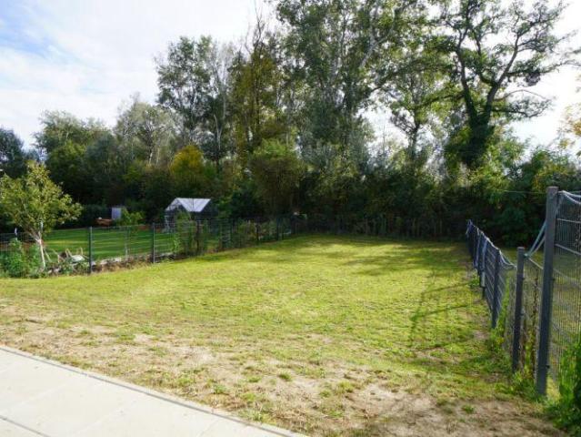 Haus kaufen
