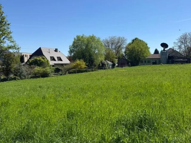 Haus kaufen in Neuhofen an der Krems, Oberösterreich