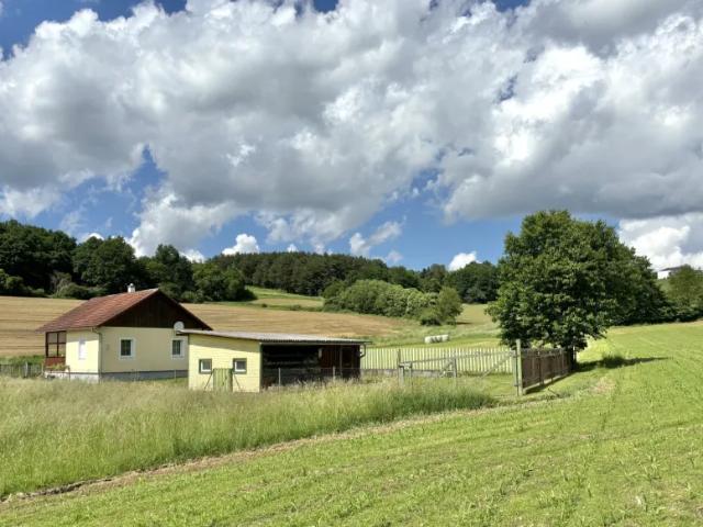 Haus kaufen in Burgenland