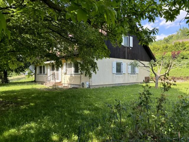 Haus kaufen in Neustift bei Güssing, Bezirk Güssing