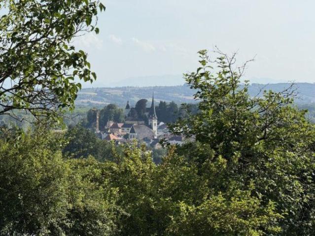 Haus kaufen in Ottensheim, Oberösterreich