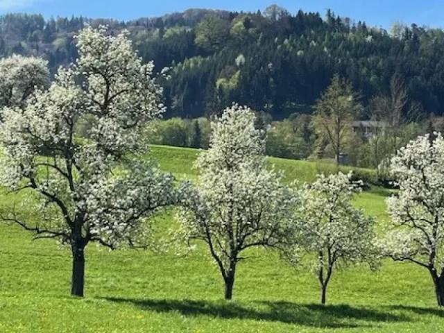 Haus kaufen in Oberndorf an der Melk, Niederösterreich