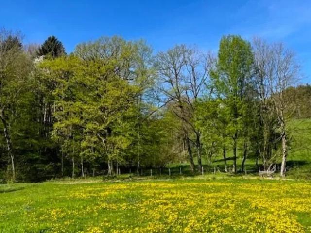 Haus kaufen in Oberndorf an der Melk, Niederösterreich
