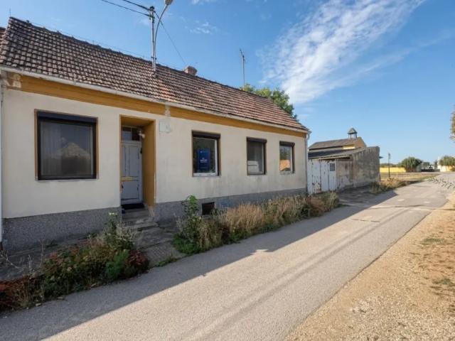 Haus kaufen in Rabensburg, Niederösterreich