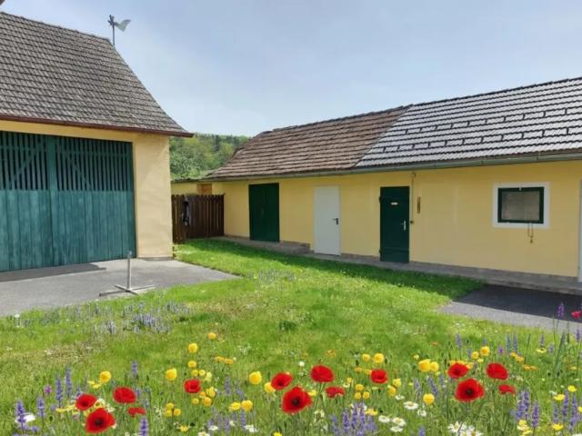 Haus kaufen in Deutsch Kaltenbrunn, Burgenland