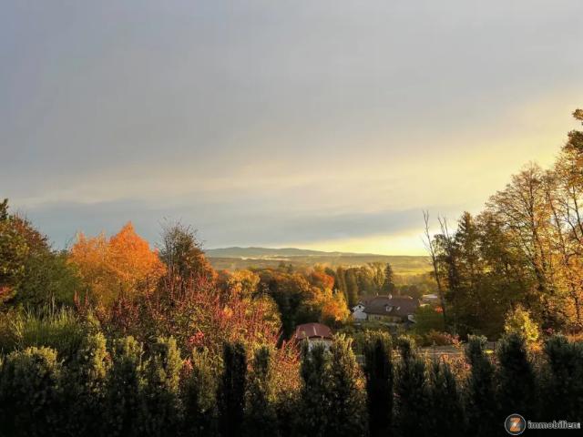 Haus kaufen in Rotenturm an der Pinka, Burgenland