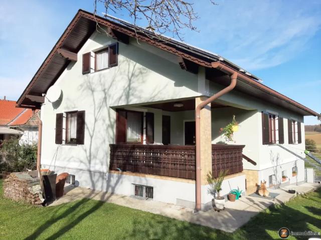 Haus kaufen in Burgenland