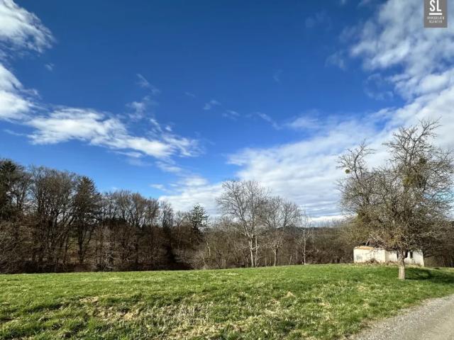 Haus kaufen in Waldschach, St. Nikolai im Sausal