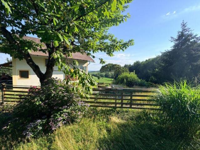 Haus kaufen in Waldschach, Sankt Nikolai im Sausal