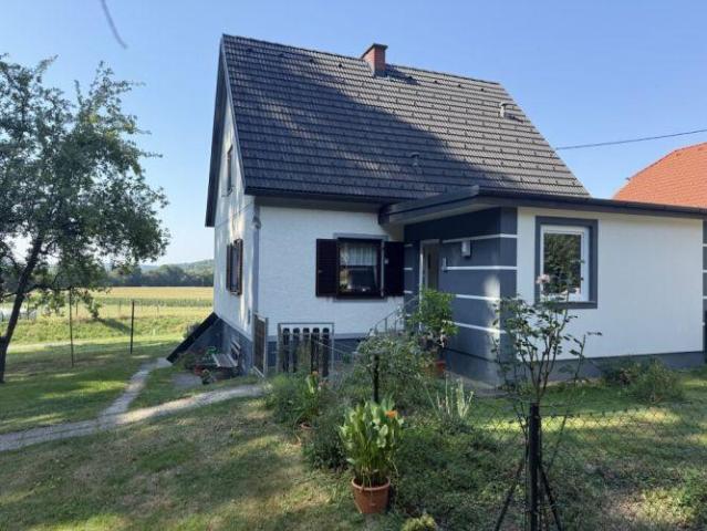 Haus kaufen in St. Stefan im Rosental, Steiermark