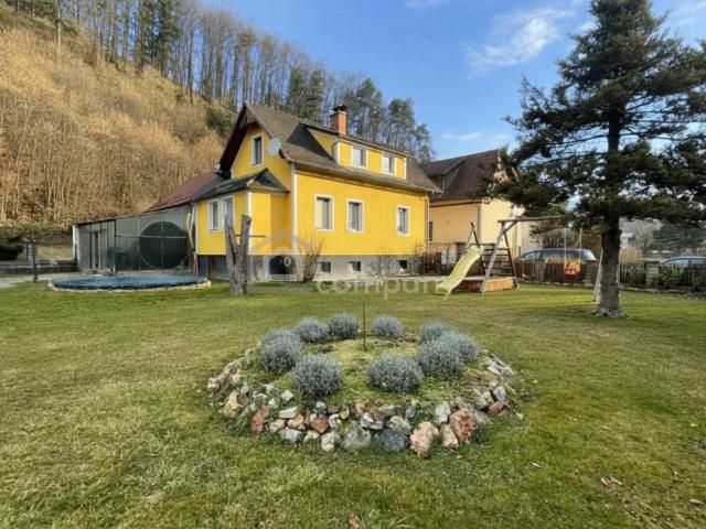 Haus kaufen in Scheiblingkirchen-Thernberg, Niederösterreich