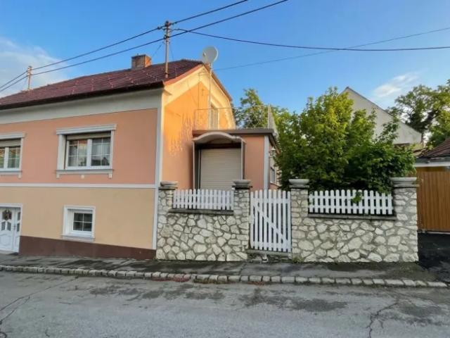 Haus kaufen in Schrattenberg, Bezirk Mistelbach
