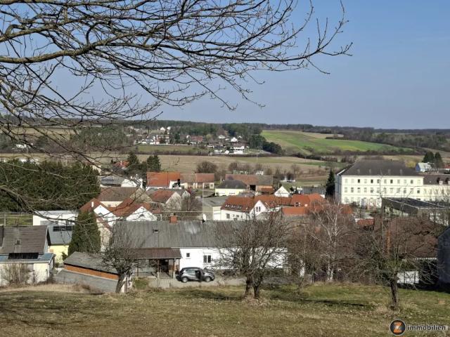 Haus kaufen in Steinberg-Dörfl, Burgenland