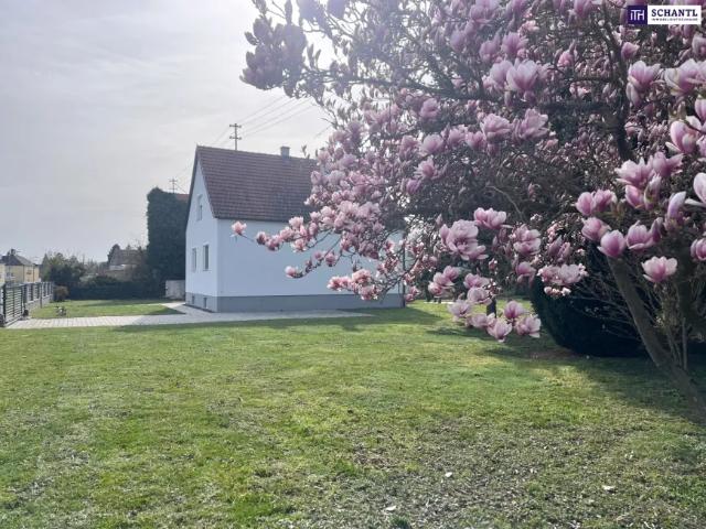 Haus kaufen in Strebersdorf, Lutzmannsburg
