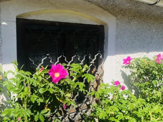 Haus kaufen in Strem, Burgenland