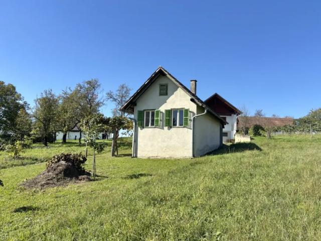 Haus kaufen in Strem, Burgenland