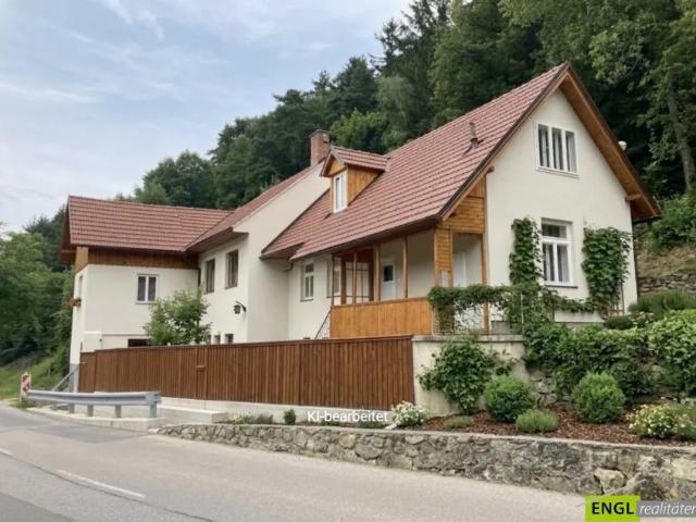 Haus kaufen in Scheiblingkirchen-Thernberg, Niederösterreich