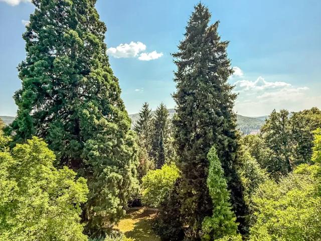 Haus kaufen in Tullnerbach, Niederösterreich