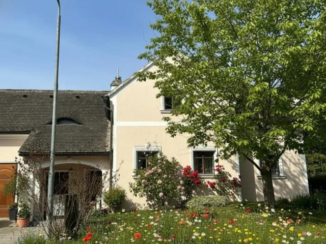 Haus kaufen in Ulrichskirchen, Niederösterreich