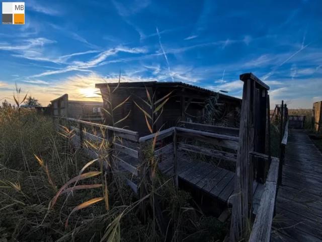 Haus kaufen in Weiden am See, Bezirk Neusiedl am See