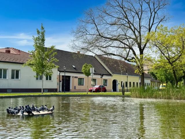 Haus kaufen in Donaustadt, Wien